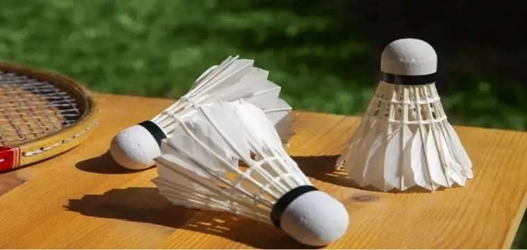 Cách Chơi Cá Cược Cầu Lông Tại V7BET: Bí Quyết Thắng 2 Cách Chơi Cá Cược Cầu Lông Tại V7BET: Bí Quyết Thắng